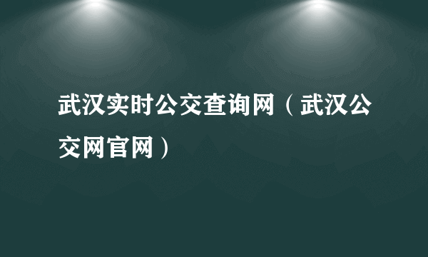 武汉实时公交查询网（武汉公交网官网）