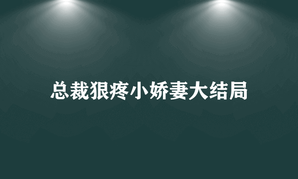 总裁狠疼小娇妻大结局