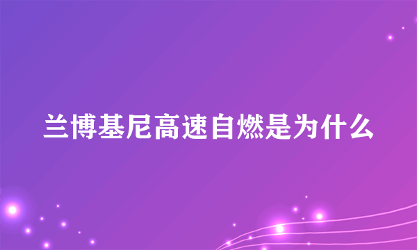 兰博基尼高速自燃是为什么