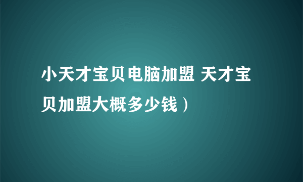 小天才宝贝电脑加盟 天才宝贝加盟大概多少钱）