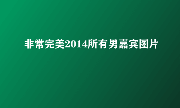 非常完美2014所有男嘉宾图片