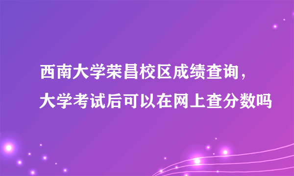 西南大学荣昌校区成绩查询，大学考试后可以在网上查分数吗