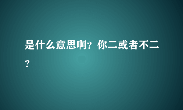 是什么意思啊？你二或者不二？