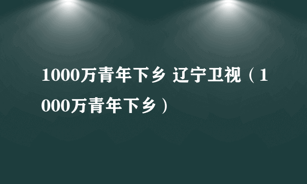 1000万青年下乡 辽宁卫视（1000万青年下乡）