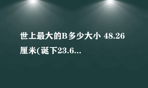 世上最大的B多少大小 48.26厘米(诞下23.6斤婴儿)