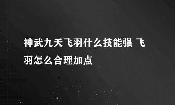 神武九天飞羽什么技能强 飞羽怎么合理加点