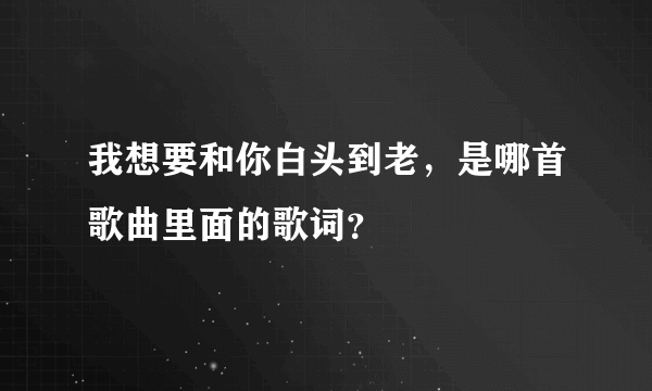 我想要和你白头到老，是哪首歌曲里面的歌词？