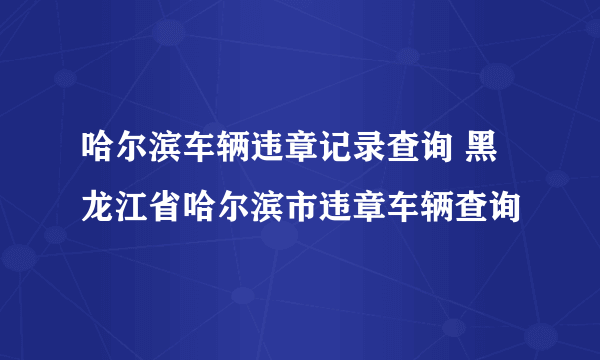 哈尔滨车辆违章记录查询 黑龙江省哈尔滨市违章车辆查询