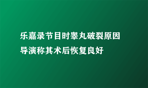 乐嘉录节目时睾丸破裂原因  导演称其术后恢复良好