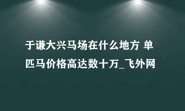 于谦大兴马场在什么地方 单匹马价格高达数十万_飞外网