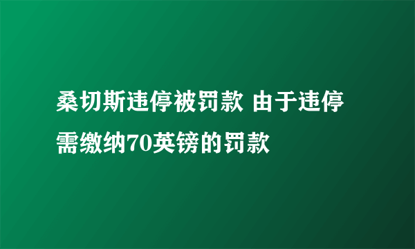 桑切斯违停被罚款 由于违停需缴纳70英镑的罚款