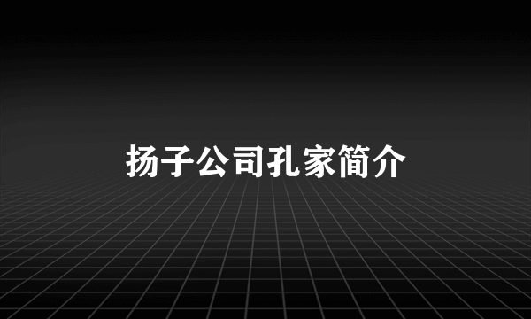 扬子公司孔家简介