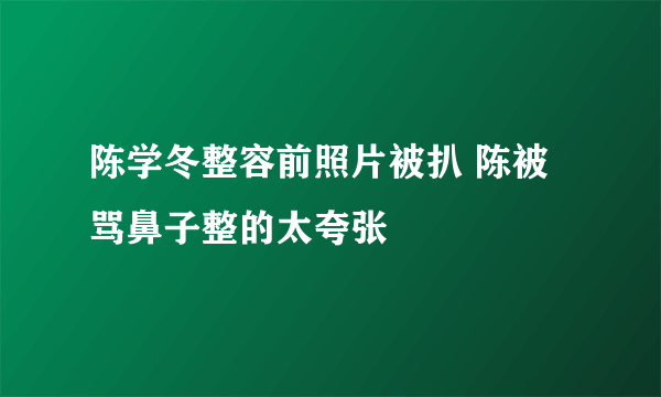 陈学冬整容前照片被扒 陈被骂鼻子整的太夸张