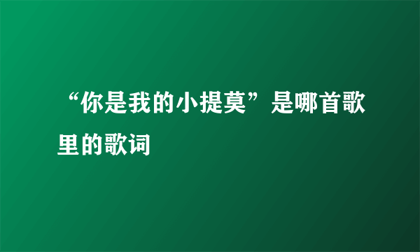 “你是我的小提莫”是哪首歌里的歌词