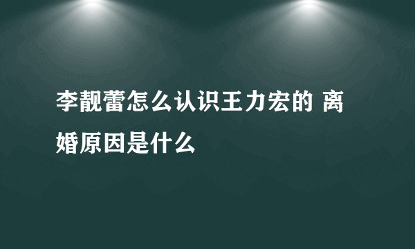 李靓蕾怎么认识王力宏的 离婚原因是什么