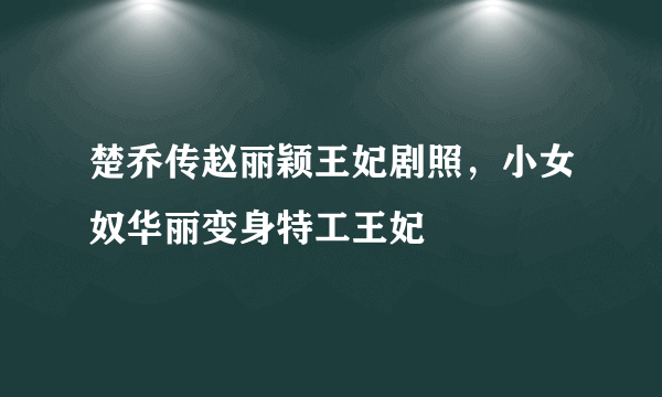 楚乔传赵丽颖王妃剧照，小女奴华丽变身特工王妃 