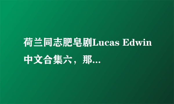 荷兰同志肥皂剧Lucas Edwin中文合集六，那个大侠有就发给我吧，不胜感激~