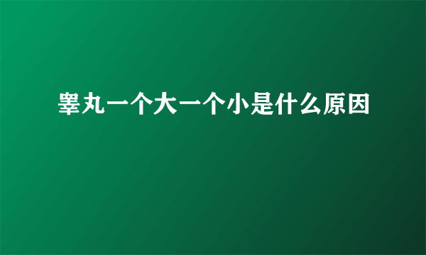 睾丸一个大一个小是什么原因