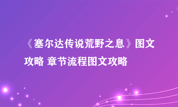 《塞尔达传说荒野之息》图文攻略 章节流程图文攻略