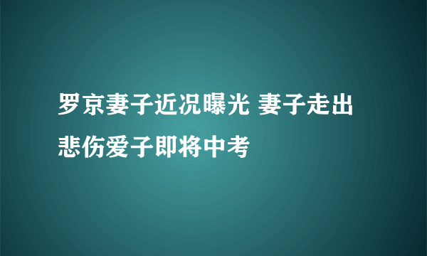 罗京妻子近况曝光 妻子走出悲伤爱子即将中考