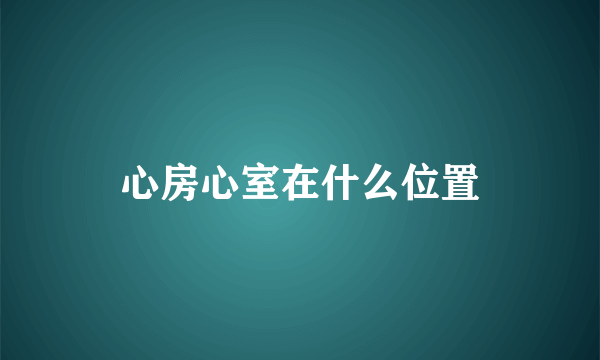 心房心室在什么位置