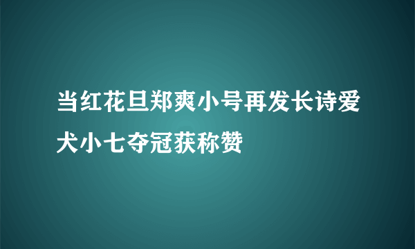 当红花旦郑爽小号再发长诗爱犬小七夺冠获称赞