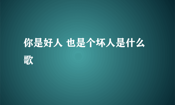 你是好人 也是个坏人是什么歌