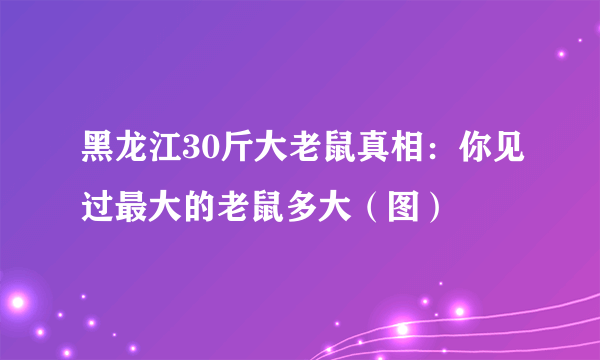 黑龙江30斤大老鼠真相：你见过最大的老鼠多大（图）