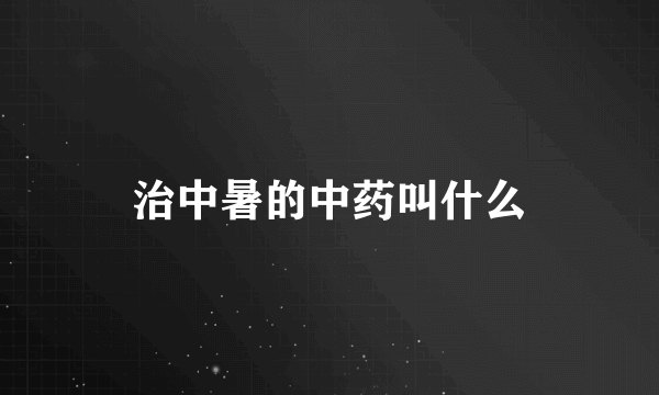 治中暑的中药叫什么