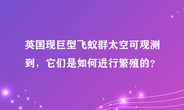 英国现巨型飞蚁群太空可观测到，它们是如何进行繁殖的？