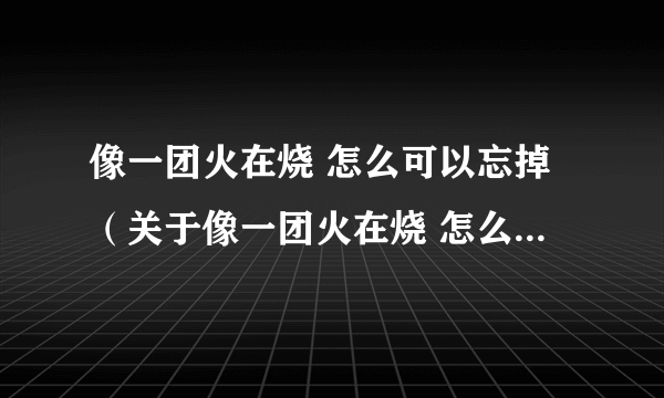 像一团火在烧 怎么可以忘掉（关于像一团火在烧 怎么可以忘掉的简介）