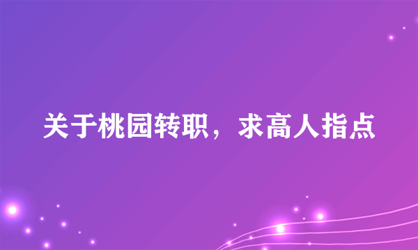 关于桃园转职，求高人指点