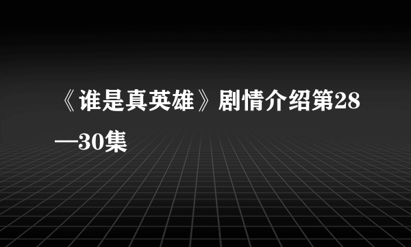 《谁是真英雄》剧情介绍第28—30集