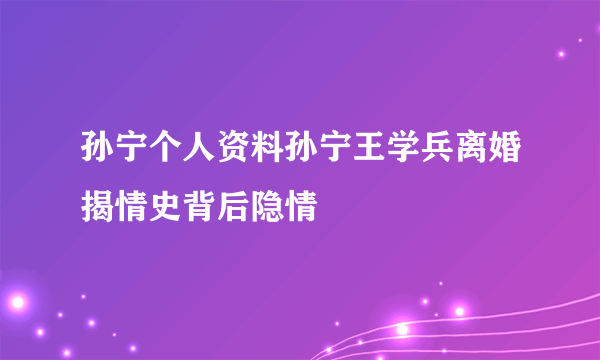 孙宁个人资料孙宁王学兵离婚揭情史背后隐情