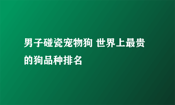 男子碰瓷宠物狗 世界上最贵的狗品种排名