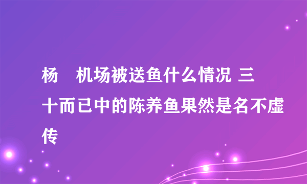 杨玏机场被送鱼什么情况 三十而已中的陈养鱼果然是名不虚传