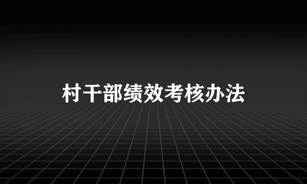 村干部绩效考核办法