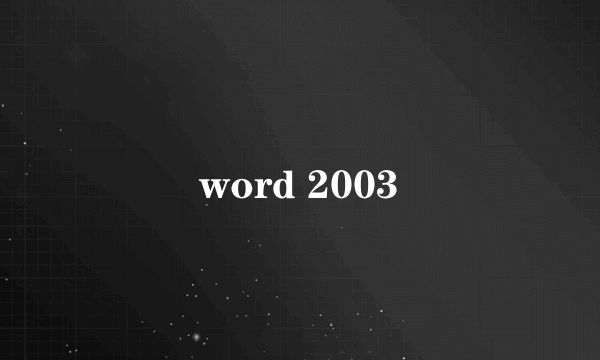 word 2003