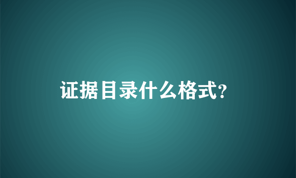 证据目录什么格式？