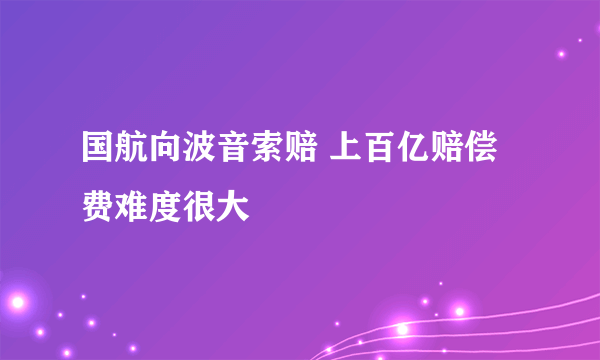 国航向波音索赔 上百亿赔偿费难度很大