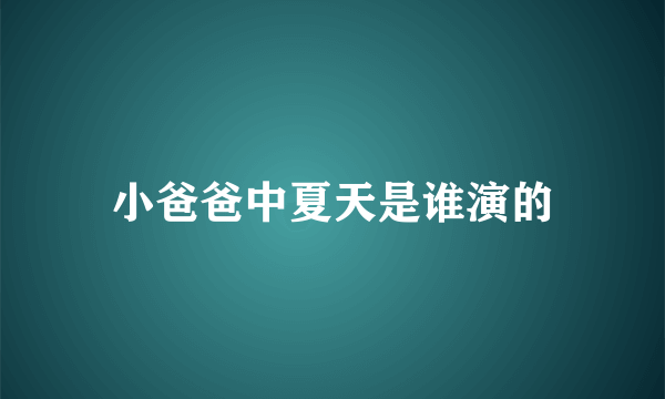 小爸爸中夏天是谁演的