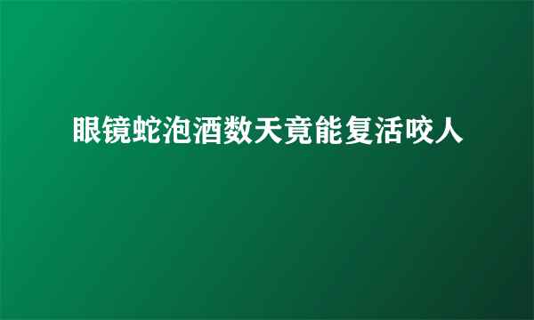 眼镜蛇泡酒数天竟能复活咬人