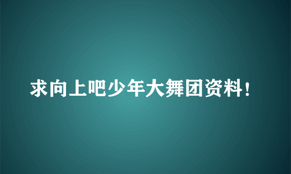 求向上吧少年大舞团资料！