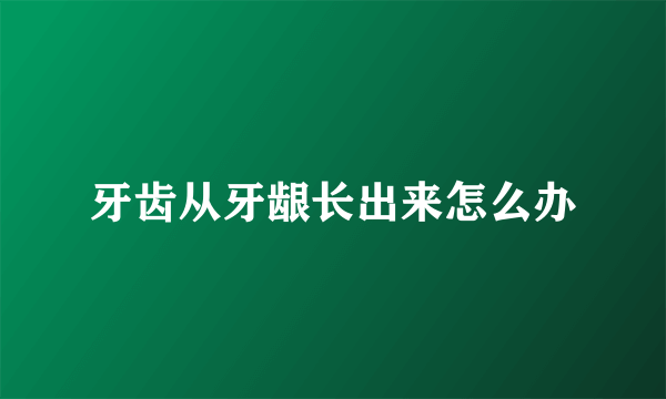 牙齿从牙龈长出来怎么办