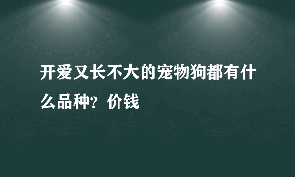 开爱又长不大的宠物狗都有什么品种？价钱