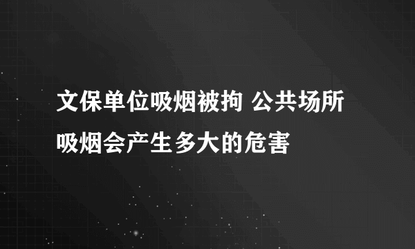 文保单位吸烟被拘 公共场所吸烟会产生多大的危害