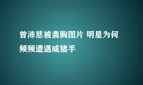 曾沛慈被袭胸图片 明星为何频频遭遇咸猪手