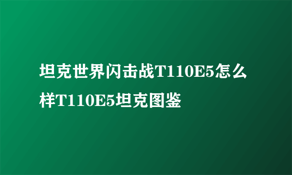 坦克世界闪击战T110E5怎么样T110E5坦克图鉴