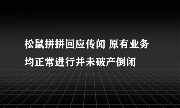 松鼠拼拼回应传闻 原有业务均正常进行并未破产倒闭