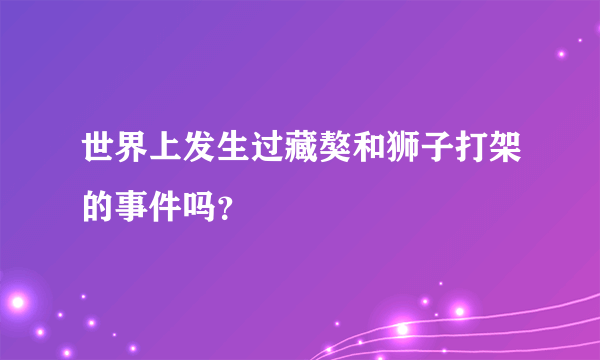 世界上发生过藏獒和狮子打架的事件吗？